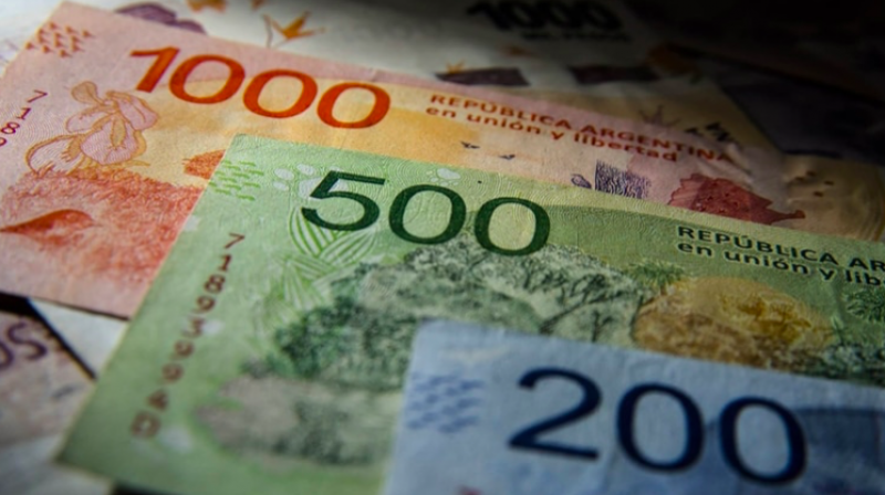 En seis meses sacarn a los animales de los billetes